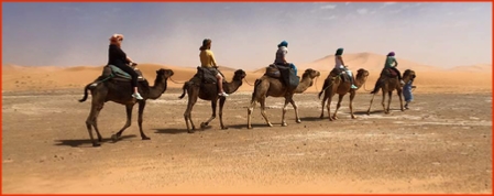 Marrakech day trips,excursions from Marrakesh